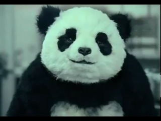 panda just hahaha)